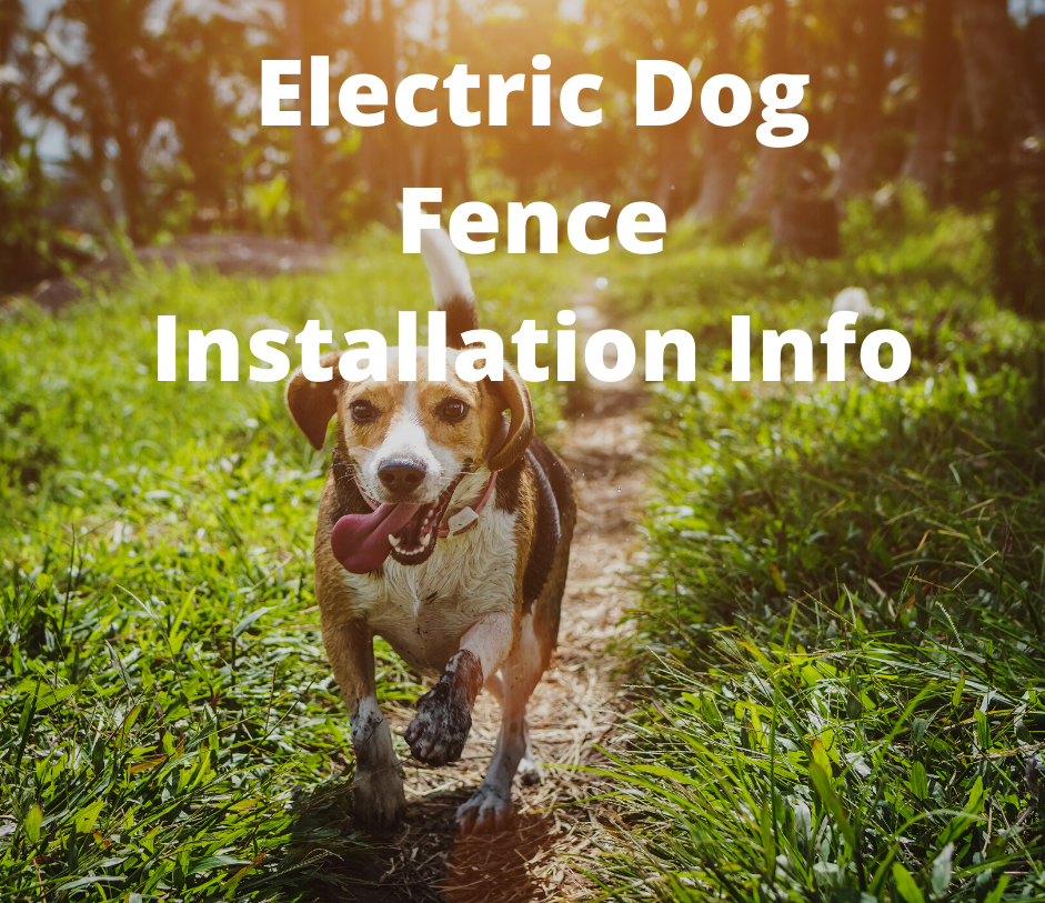 Puppy-Proofing Your Home:101 • Pet Stop® Dog Fence Company
