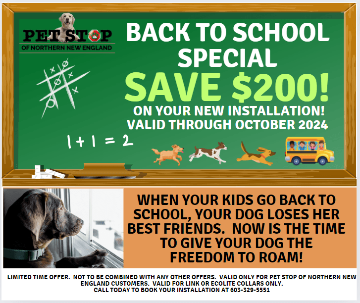 Back To School Special